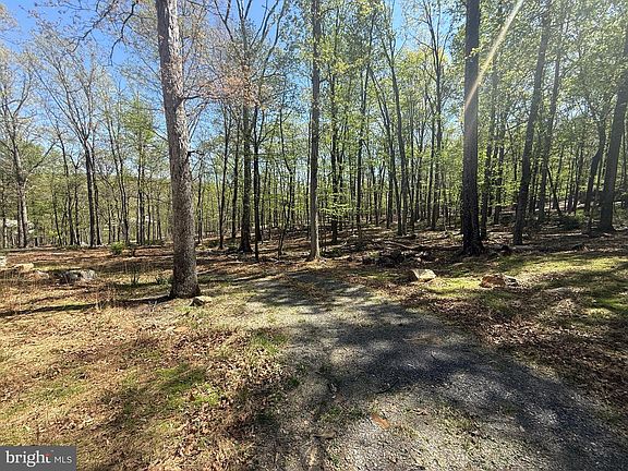 3rd image of 56 Leisure Ln
