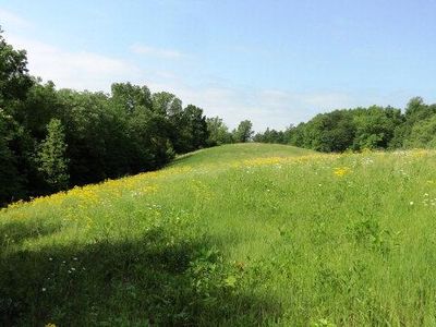 LOT 7 Terrapin Ridge Rd, Hilham, TN, 38568