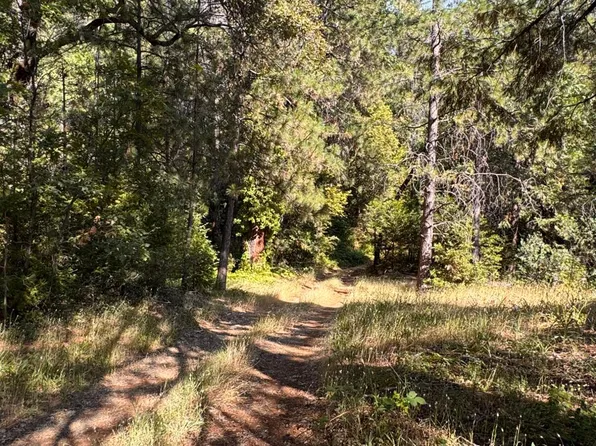 16492 Indiana Ranch Rd, Dobbins, CA 95935