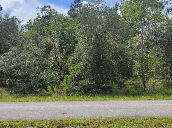 0 SW BIG BEAR RIDGE LOT 25, DUNNELLON, FL 34431