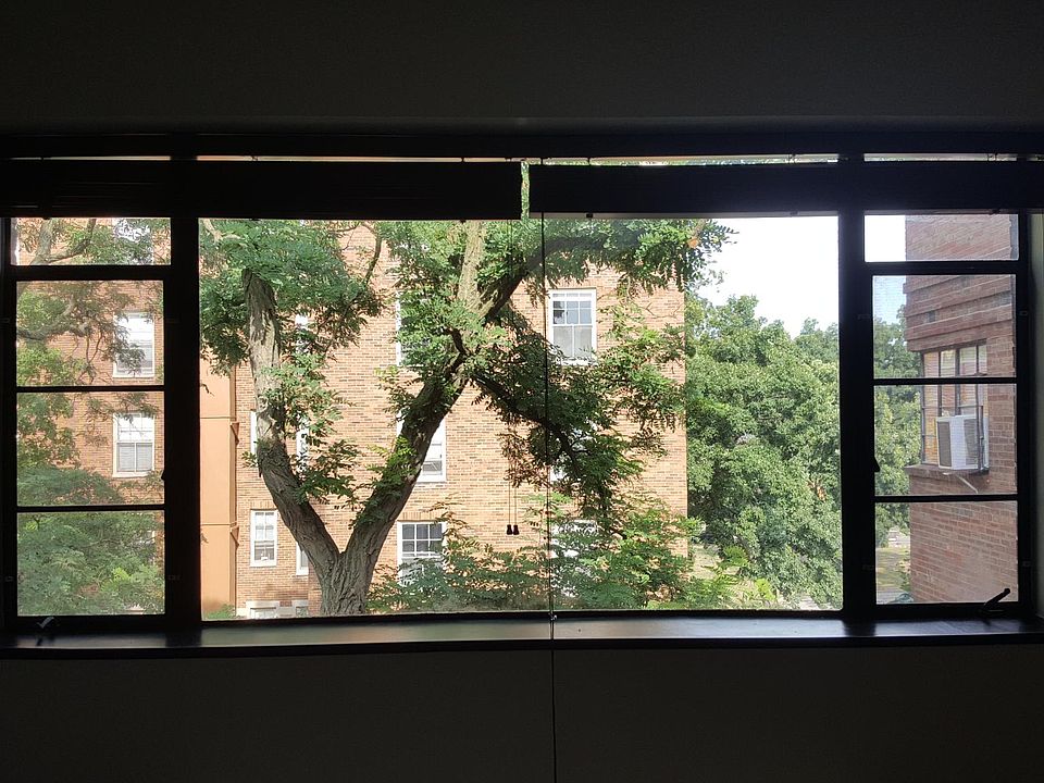 Living Room Window