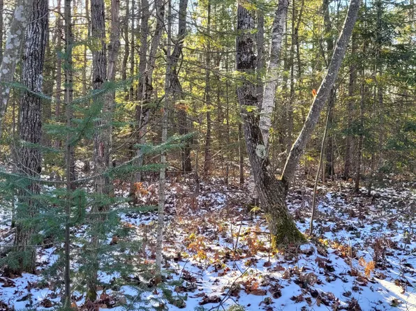 Yarrup Ln, Millersburg, MI 49759