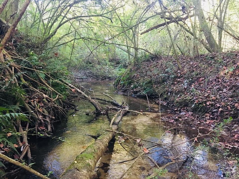 <p>King Branch </p>