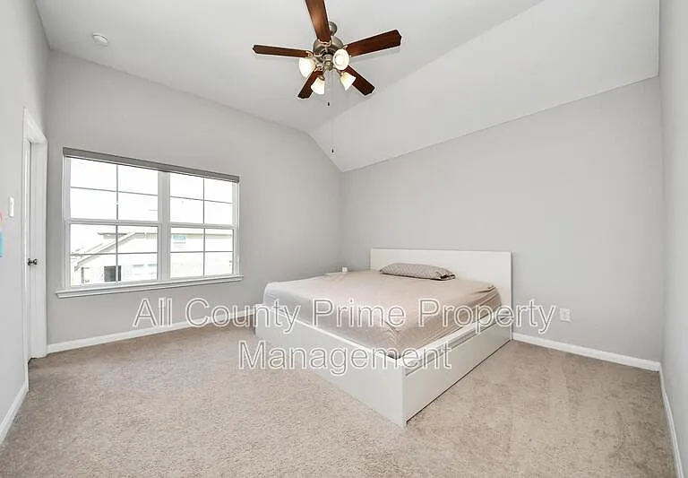 2707 Brighton Willow Way — Photo 27