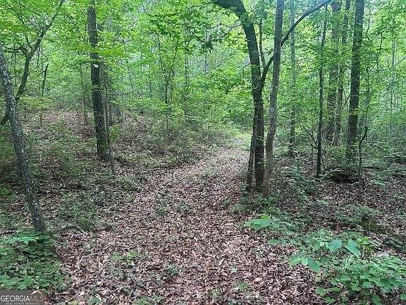 2nd image of 236 Riversong Tract 8