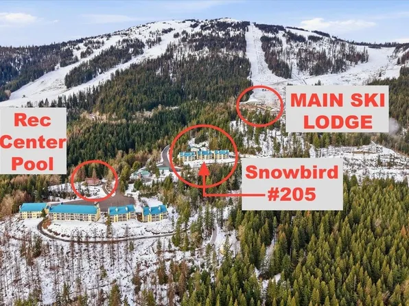 28600 N Mount Spokane Park Dr #205, Mead, WA 99021