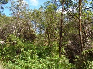 18 2039th #621, Volcano, HI 96785