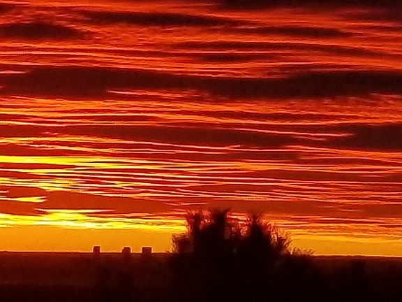 Back Patio Sunrise Denver