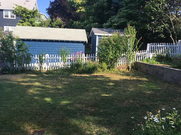 Back lawn & Garden
