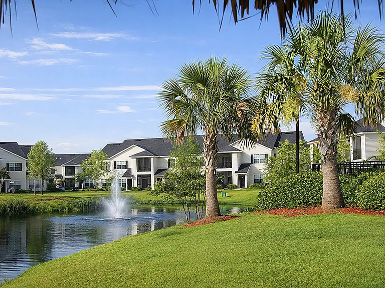 Fountain and Palm Trees