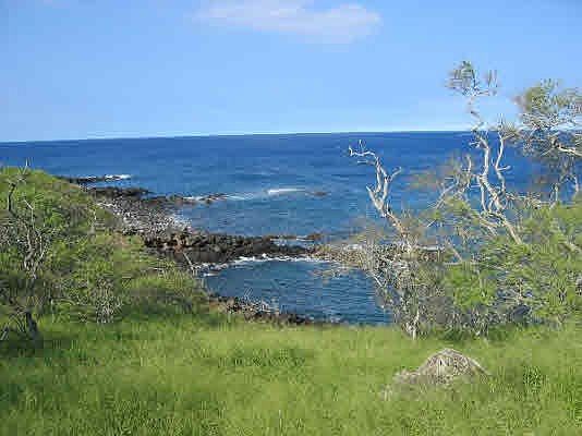 1st image of 56-4-A Pualani Lot 4-A