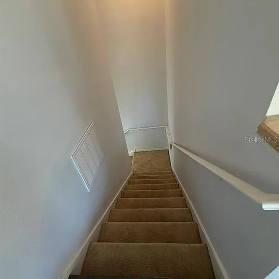 3310 Pine Oak Trl — Photo 18