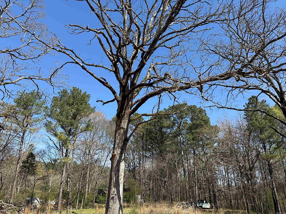 1st image of Old Bear Rd