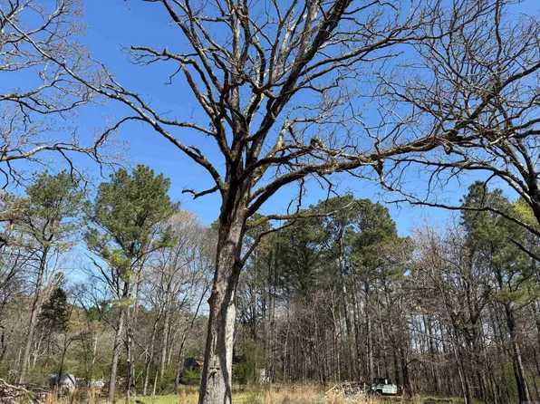 Old Bear Rd, Royal, AR 71968