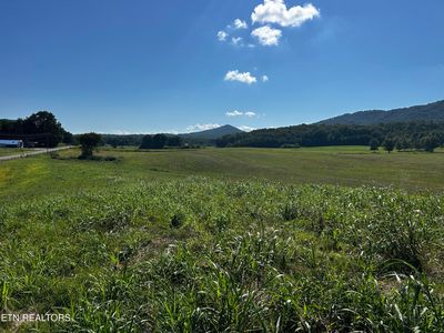 461 Reliance Rd, Tellico Plains, TN, 37385