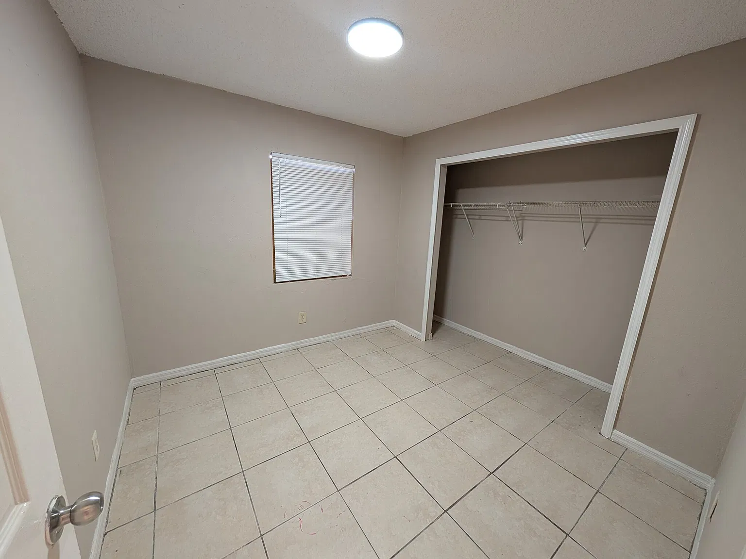 Spacious 3 Bedroom / 1 Bath Apartment in Tampa - Available Now & Pet-Friendly — Photo 3