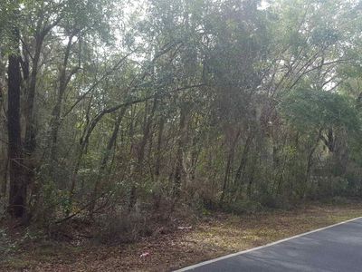 0 Franklin St, Darien, GA, 31305