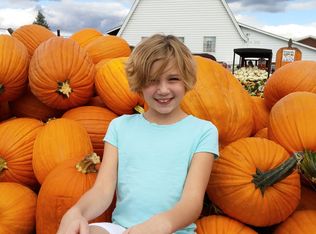 29208 Point A Rd Cr59, Gantt, AL 36421