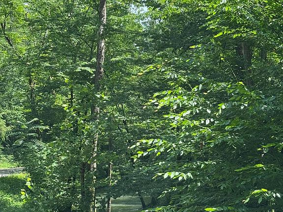 3rd image of 2784 Fiery Gizzard Rd