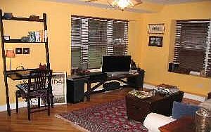 Spacious Living Room