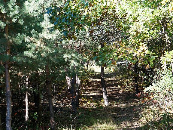 Plenty of walking trails