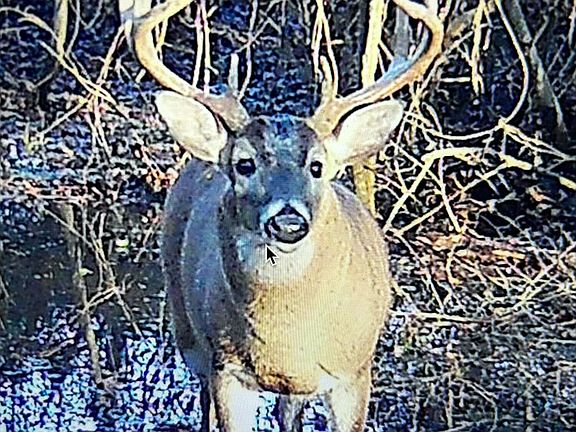 39th image of this home