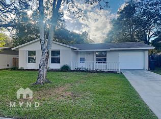 2233 Selkirk St, Valrico, FL 33594