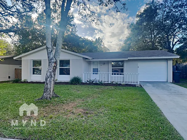 2233 Selkirk St, Valrico, FL 33594