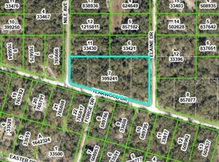 Elaine Dr, Webster, FL 33597