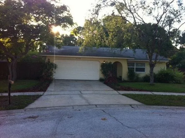 11706 Twin Maple Pl, Tampa, FL 33624