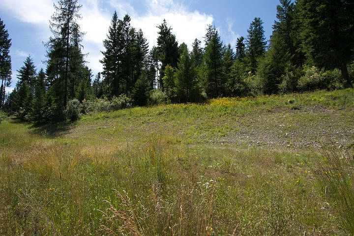 2nd image of 767 Finley Gulch Rd