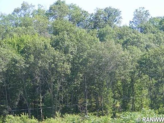 2nd image of 13128 E Pine Creek Road