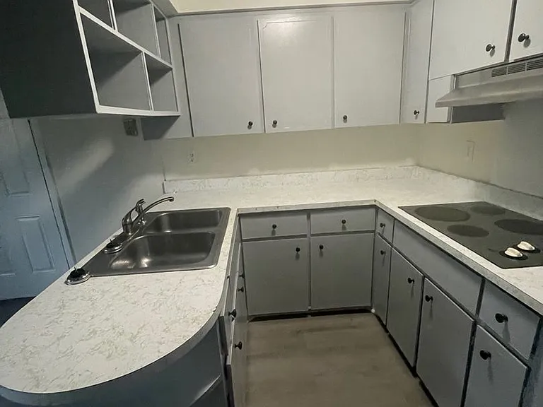 1464 Richmond Ave — Photo 4