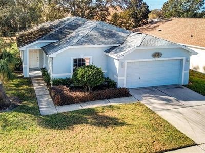 20538 Homossasa Ct, Land O Lakes, FL, 34637