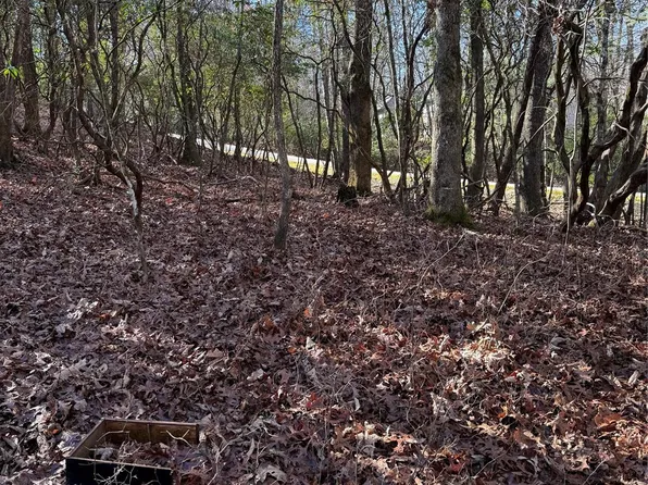 U11-L036 Tlvdatsi Dr, Brevard, NC 28712