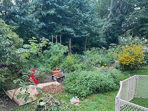 Garden in back