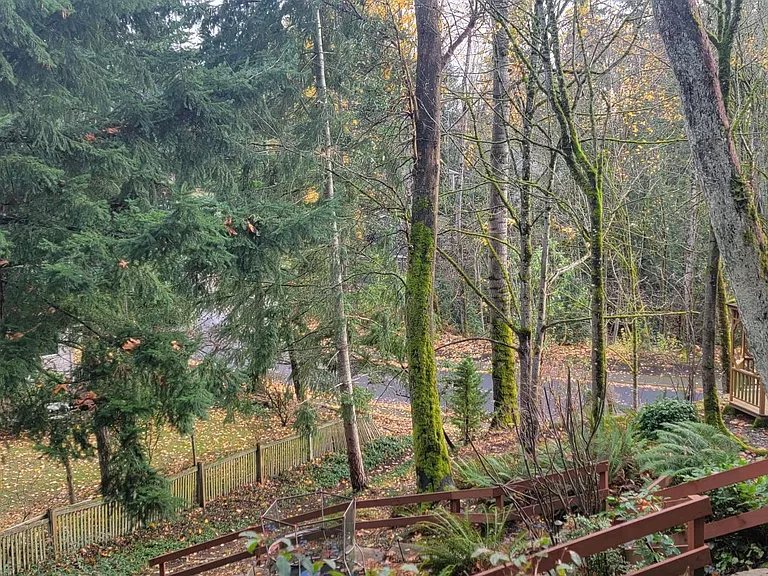 5840 145th Pl SE #B — Photo 7