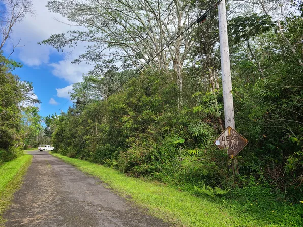 Pahoa Cir, Pahoa, HI 96778