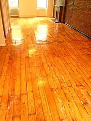 Rented by Carol Quatrone