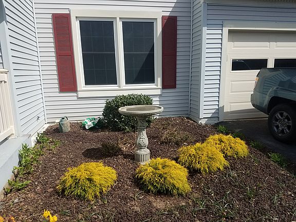 Birdbath &Golden Mop Cypress