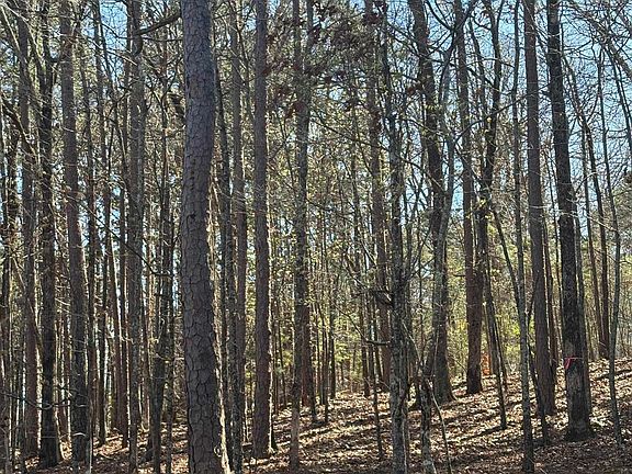 4th image of (Undisclosed Address)