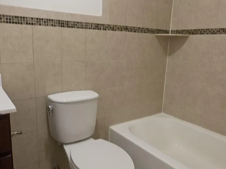 C8 Lily Ct — Photo 6