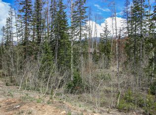 714 Leland Creek Cir, Winter Park, CO 80482