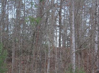 6033 Grassy Branch Rd, Bryson City, NC 28713