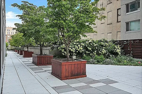 Rented by Douglas Elliman | media 28