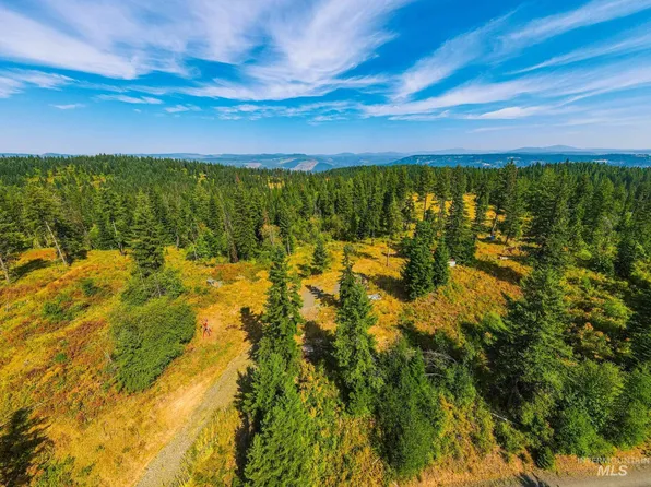 321 Bugle Ridge Dr, Orofino, ID 83544