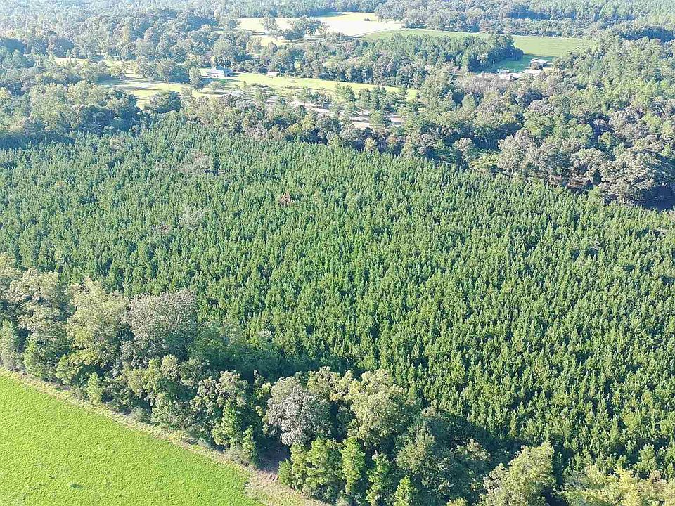 1st image of Lewis Rd