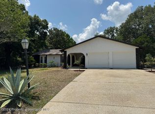 13036 Feather St, Spring Hill, FL 34609