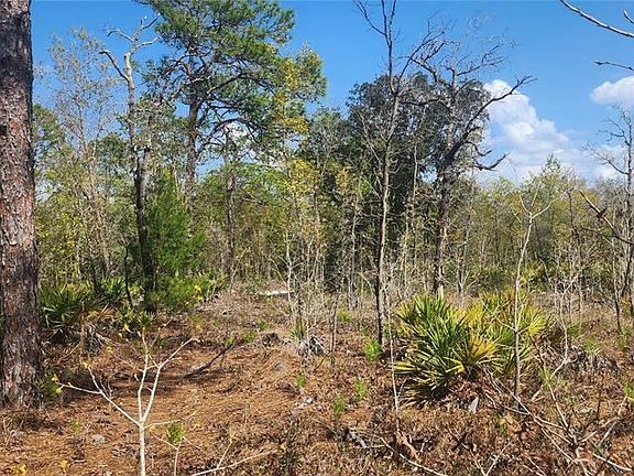 3rd image of 18043 RAMSEY ROAD LOT 11