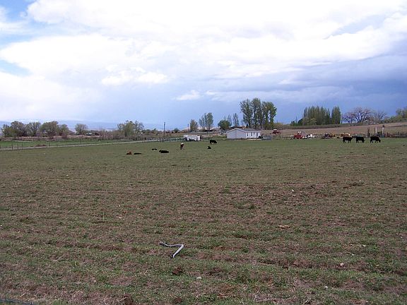 East view from 1825 Rd